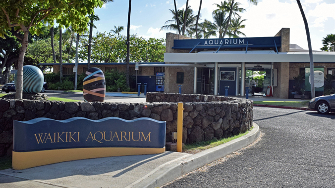 the front of the Waikiki Aquarium