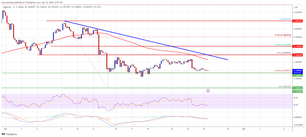 DOGE Price Prediction