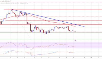 DOGE Price Prediction