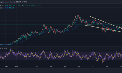 DogWifHat Price Chart Analysis Source: Tradingview.com