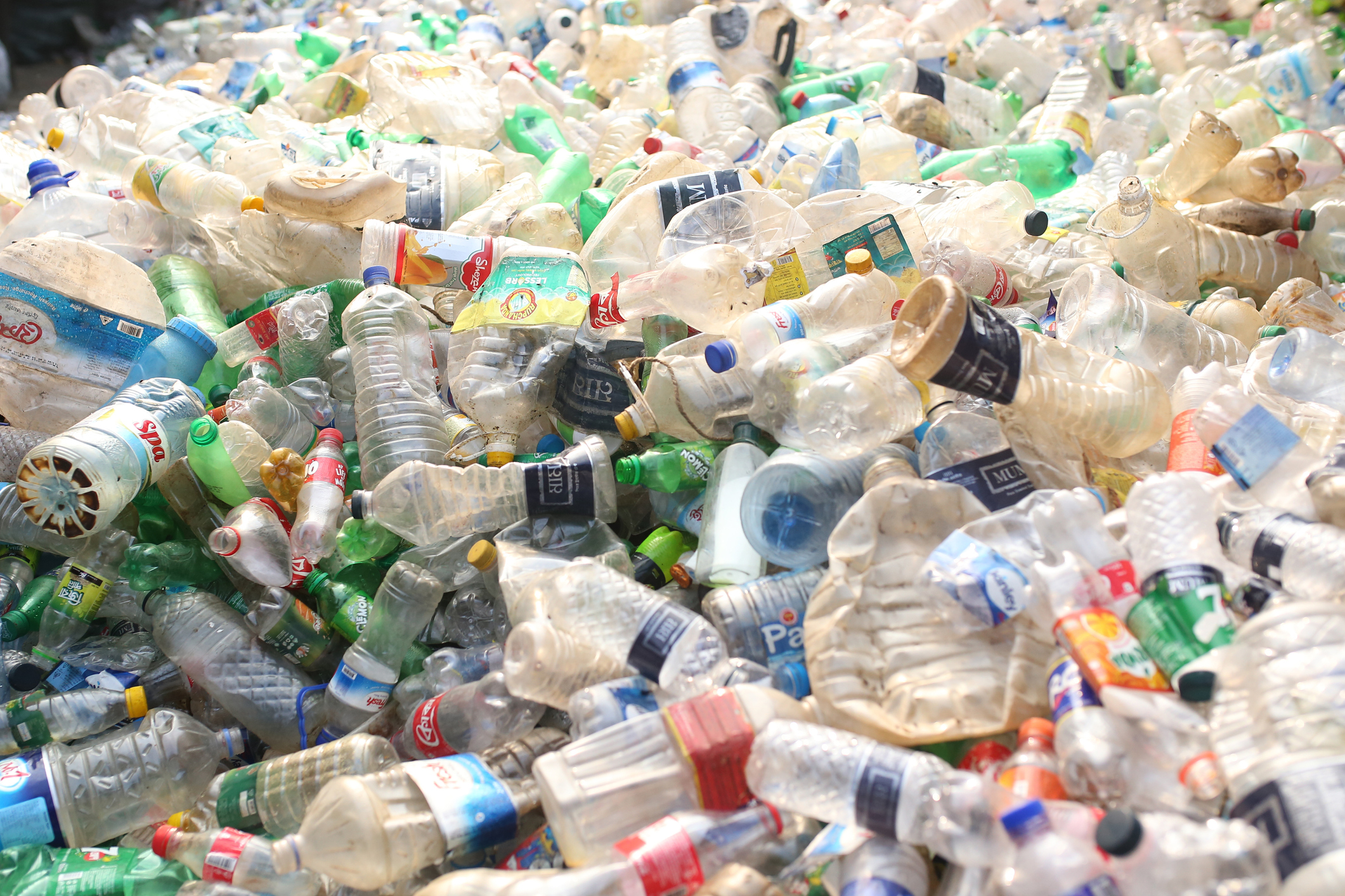 Earth Day 2024 and the environmental challenges posed by plastics • NC Newsline