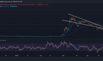 FLOKI Price Chart Analysis Source: Tradingview.com