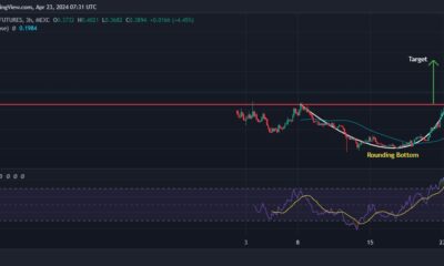 Popcat Price Chart Analysis Source: Tradingview.com