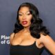 Megan Thee Stallion Accused of Harassment