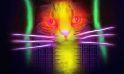 The Technical Architecture of the Quantum Cats