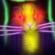 The Technical Architecture of the Quantum Cats