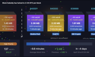 ViaBTC Just Mined the 4th Ever Bitcoin Epic Sat During The Halving