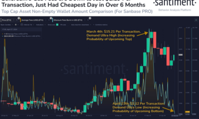 Will This Spark A Surge In Network Activity?