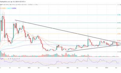 XRP price