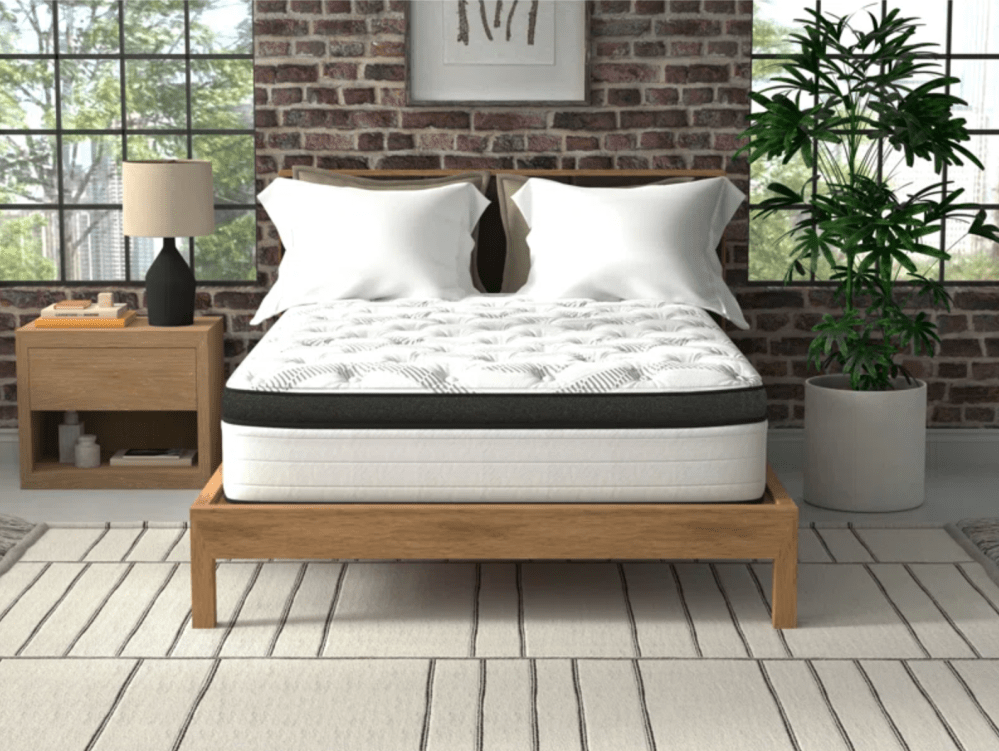 Wayfair Sleep 14