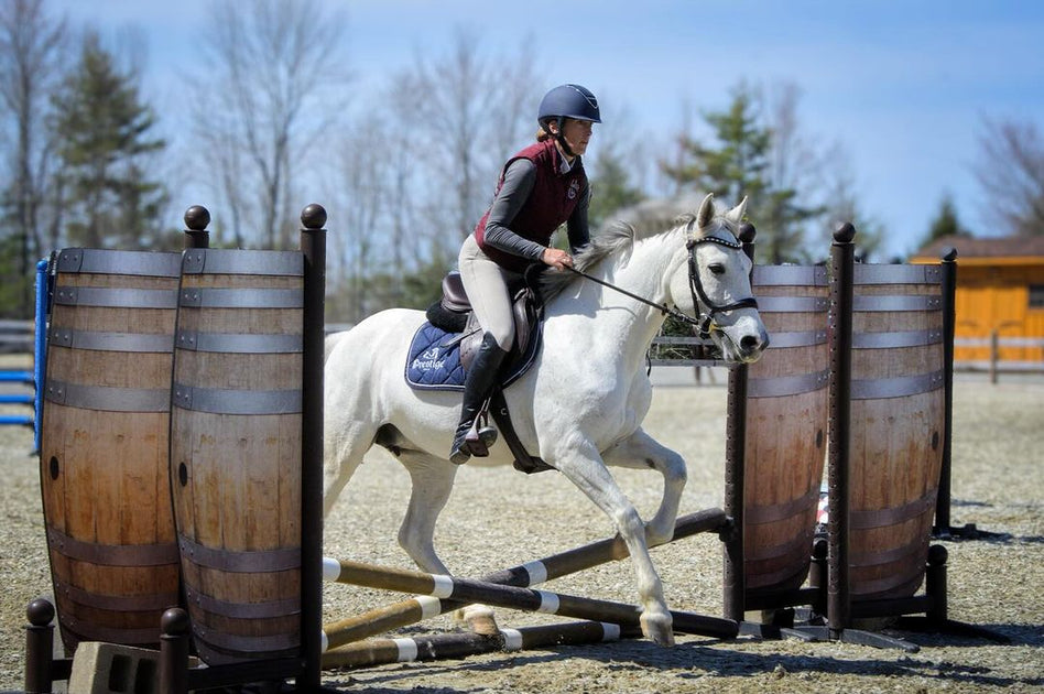 Catching Up with Chelsea Canedy and Her Amazing Mustang Luna
– NOËLLE FLOYD