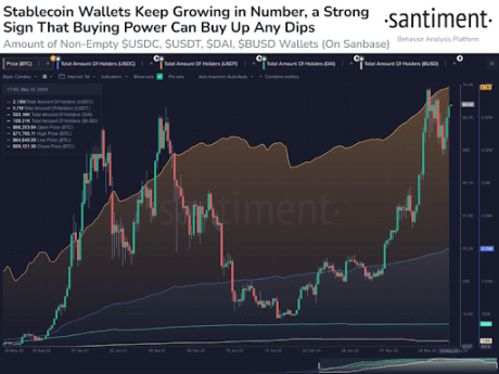 Bitcoin whales 1