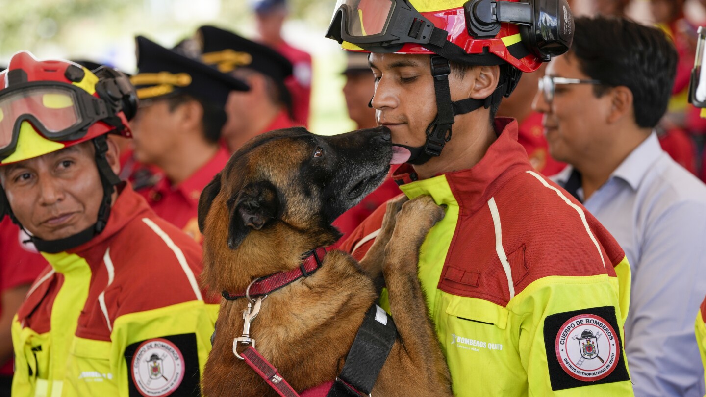 5 firefighter dogs who rescued people from natural disasters are honored in Ecuador as they retire