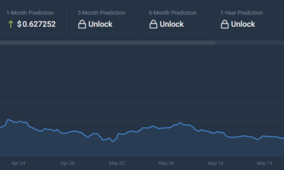 Analyst Eyes Price Explosion To $0.65