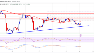 BNB Coin Price