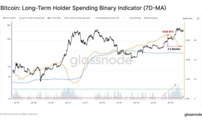 Bitcoin long term holder metric.