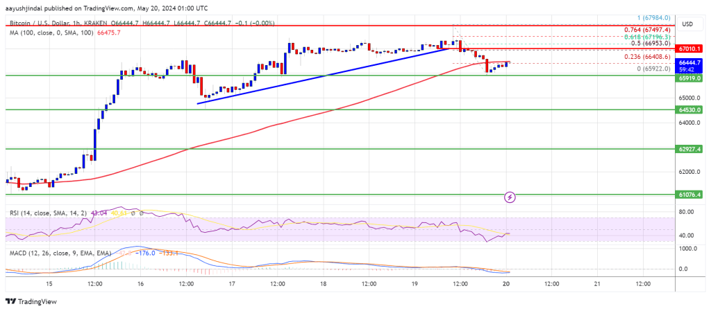 Bitcoin Price