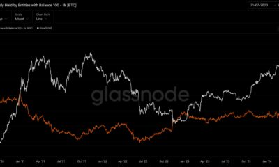 Bitcoin Shark Holdings