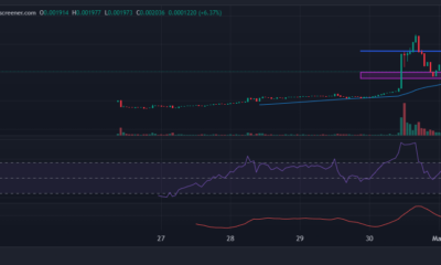 Buy the DIP Price Price Chart Analysis Source: Dexscreener.com