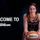 Caitlin Clark signs with Wilson: Fever star becomes first women's basketball player to receive signature ball