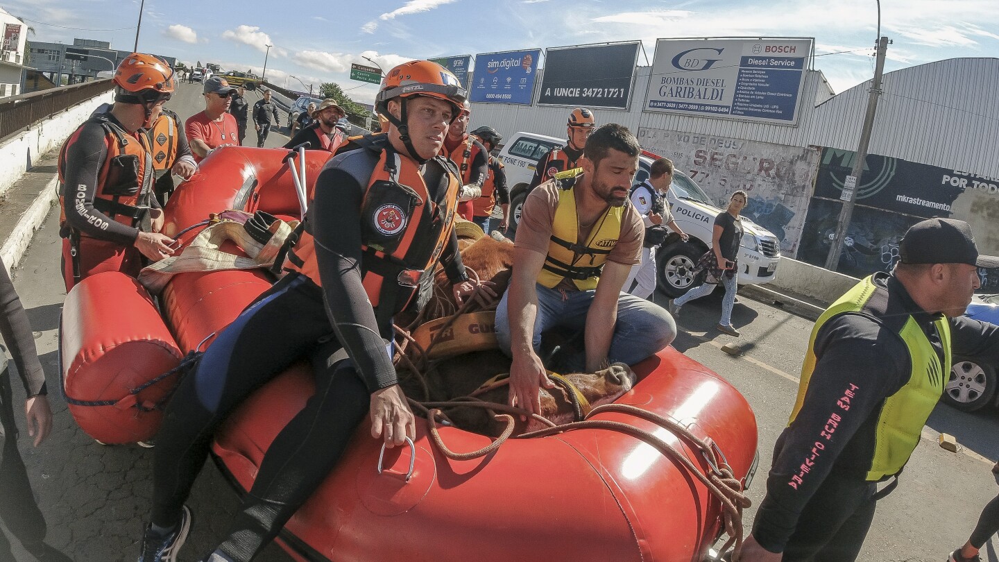 Caramelo, the Brazilian horse stranded on a roof by floods, is rescued after stirring the nation