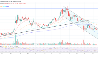 Cardano price