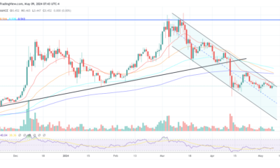 Cardano price