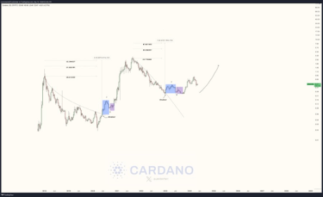 Cardano