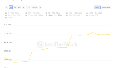 Cardano Whales Return To The Table, Increase Massive Holdings By 10%