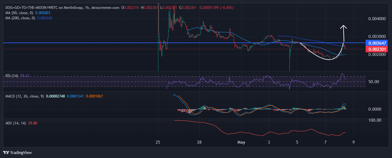 DOG•GO•TO•THE•MOON Price Chart Analysis Source: Dexscreeer.com