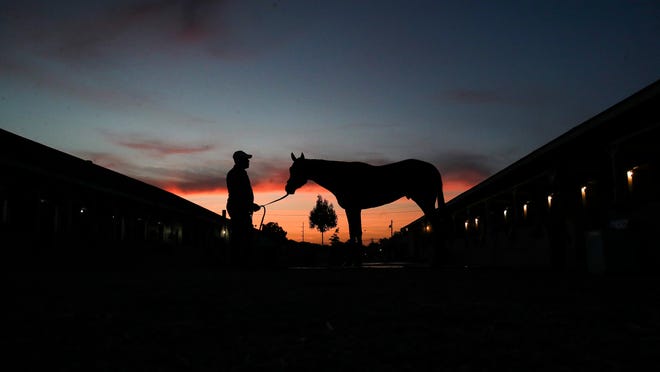 Date, start time, horses, odds, field and post positions