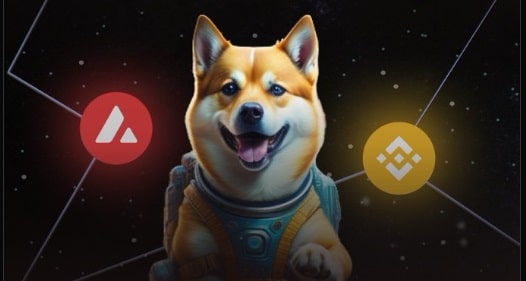 Dogeverse