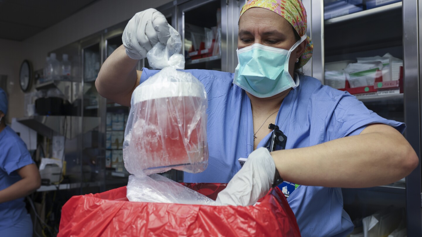 First person to receive a genetically modified pig kidney transplant dies nearly 2 months later