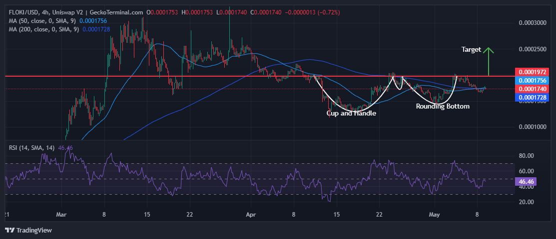 Floki Price Chart Analysis Source: Geckoterminal.com