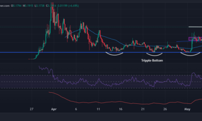 Shark Cat Chart Analysis Source: Dexscreener.com