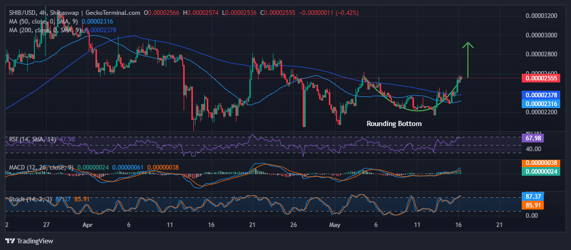 Shiba Inu Price Chart Analysis Source: GeckoTerminal.com