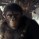 'Kingdom of the Planet of the Apes' reigns at the box office with $56.5 million opening