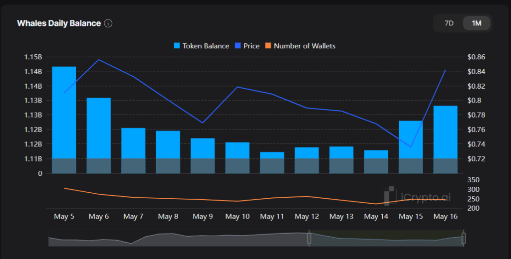 ONDO Whales