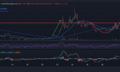 Panda Swap Price Chart Analysis Source: Geckoterminal.com