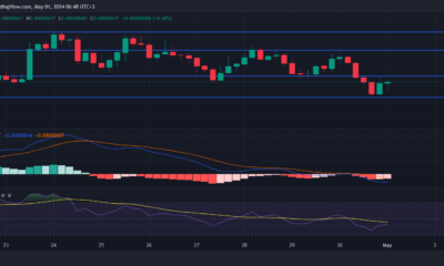 BINANCE:PEPEUSDT Chart Image by StevenWalgenbach