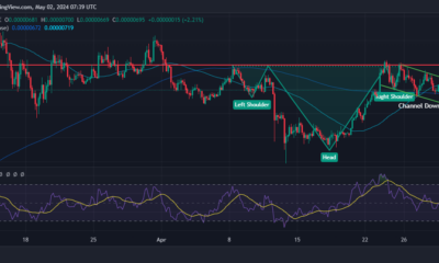 Pepe Price Chart Analysis Source: Tradingview.com