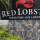 Red Lobster closes dozens of locations across the US just months after 'endless shrimp' losses