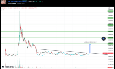 Shiba Inu on the Verge of 600% Rally? Analyst Weighs In