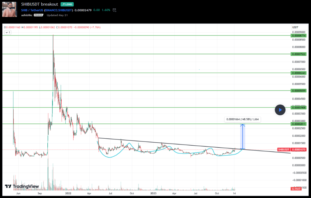 Shiba Inu on the Verge of 600% Rally? Analyst Weighs In