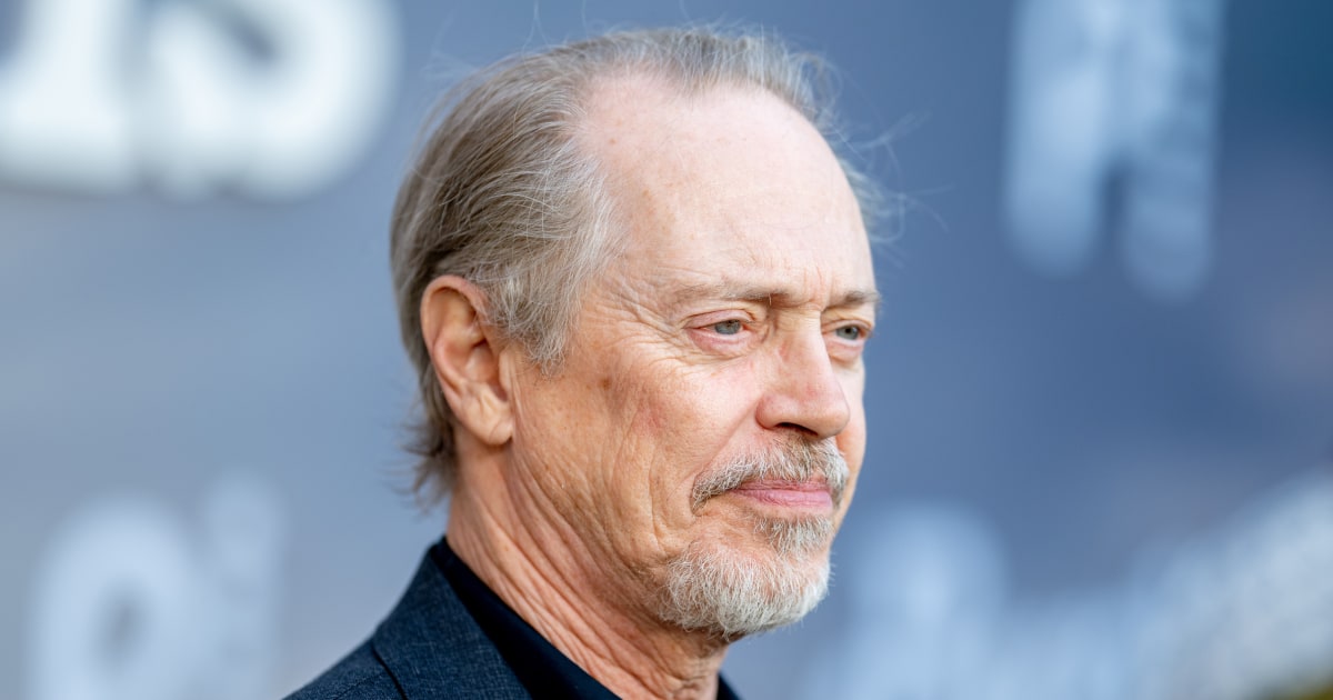 Steve Buscemi punched while walking in New York City