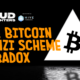 The Bitcoin Ponzi Scheme Paradox