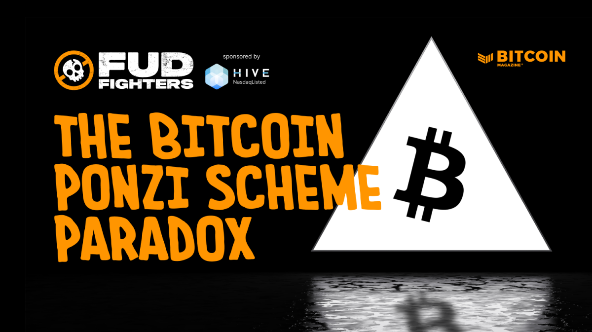 The Bitcoin Ponzi Scheme Paradox