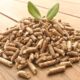 The Eco-Friendly Choice: Harnessing the Power of Wood Pellets