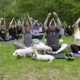 Three little piggies at a yoga class = maximum happiness