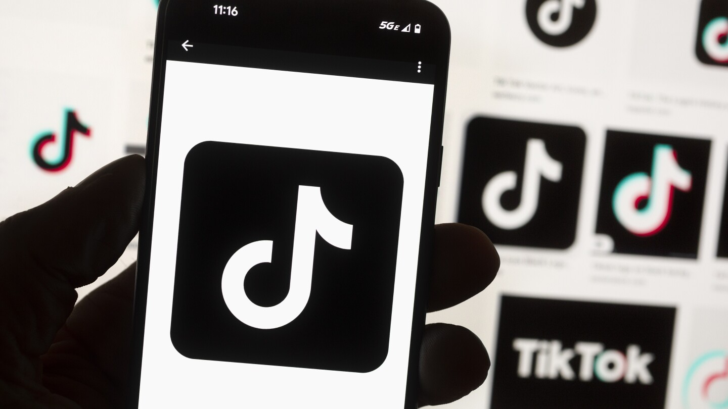 TikTok sues US government over law that could ban the social media platform